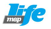 Фанаты